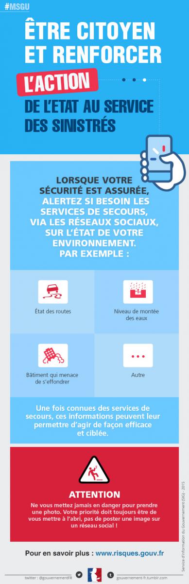Infographies MSGU